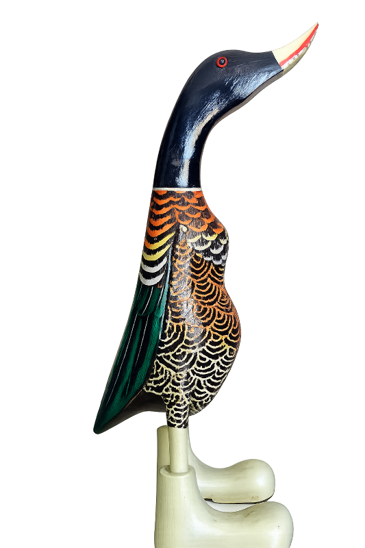 Der Erpel, 40cm hoch