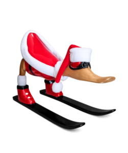 Speed-Ski-Fahrer
